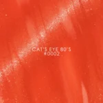 DNKa Gel Polish CAT`S EYE #0002 80`s — изображение 5