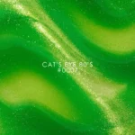 DNKa Gel Polish CAT`S EYE #0007 80`s — изображение 5